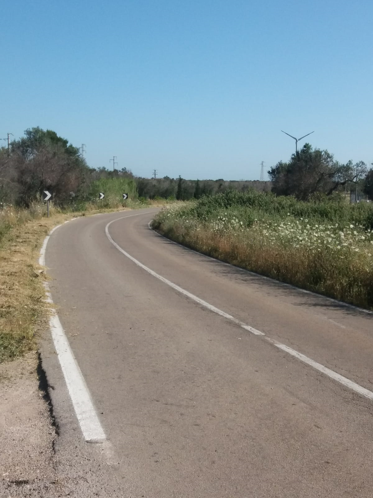 Lavori sfalcio strade provinciali