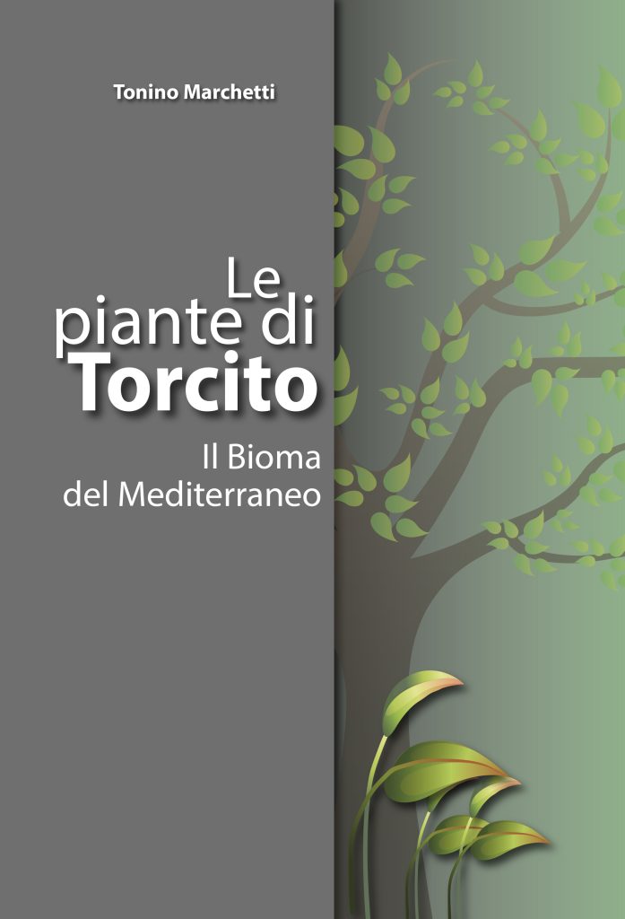 “Le piante di Torcito. Il Bioma del Mediterraneo”: il libro di Antonio Walter Marchetti sul sistema botanico dell’area della Masseria