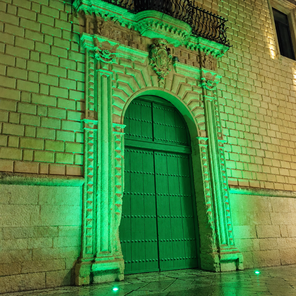 La Provincia di Lecce s’illumina di verde per sensibilizzare sulle sindromi Pans Pandas e promuovere più attenzione verso la salute mentale